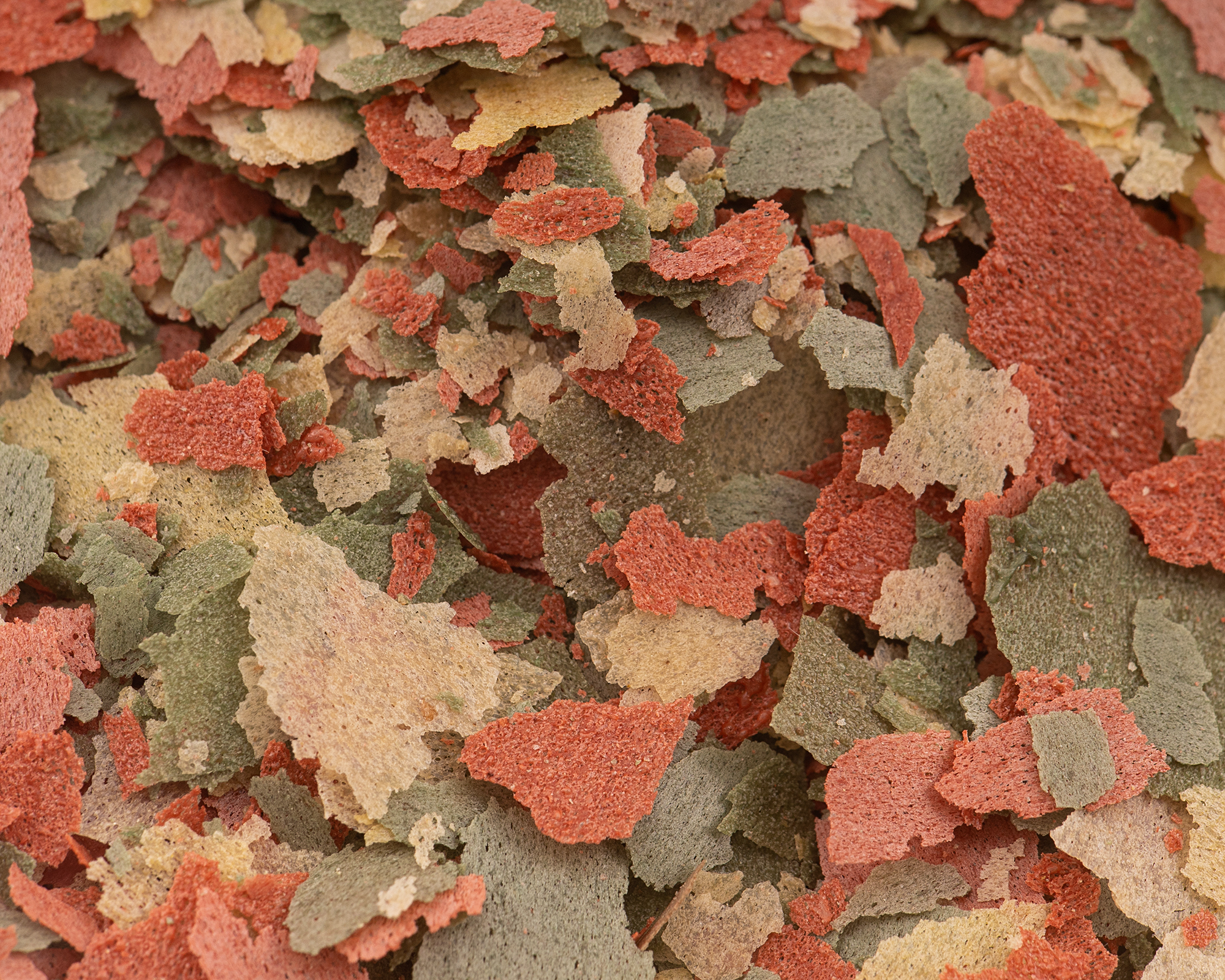 Nahaufnahme von bunten Fischfutter-Flocken